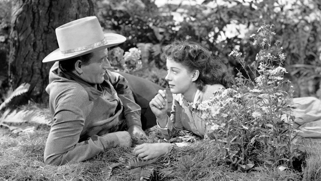 Vadiler Hakimi (1947) izle