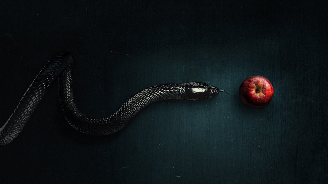 Evil 4. Sezon 7. Bölüm izle