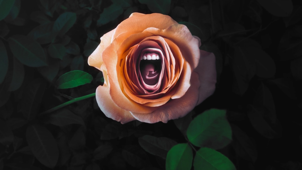 Roar 1. Sezon 4. Bölüm izle
